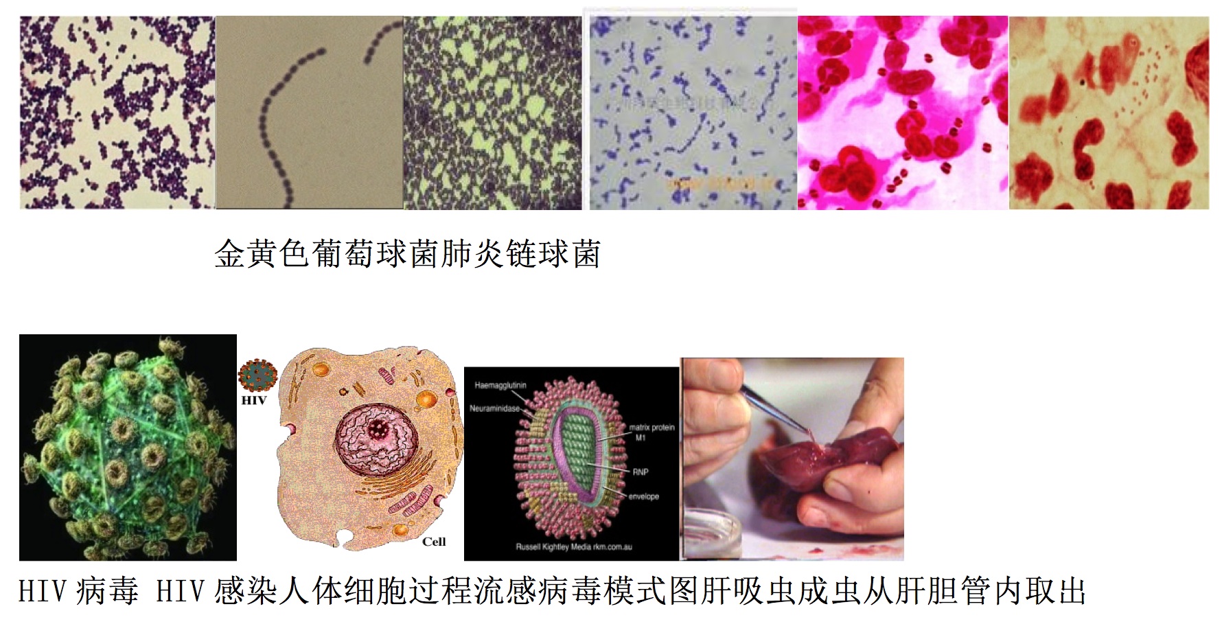 澳门博彩在线