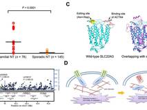 澳门博彩在线
付利教授团队在《PNAS》杂志发表研究论文