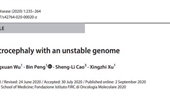 Primary microcephaly with an unstable genome