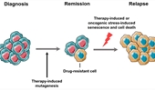 Cell plasticity and genomic instability in cancer evolution