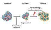 Genome Instability & Disease Volume 1. Issue 6 简介