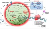 Genome Instability & Disease Volume 1. Issue 1 简介