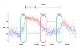 Genome Instability & Disease Volume 1. Issue 5 简介