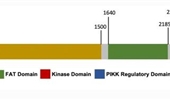 The post translational modification of key regulators of ATR signaling in DNA replication