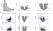 Accurate prediction of stomach adenocarcinomas of poorest and best prognosis with a combination of gene expression and clinical signatures