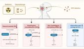 Novel insights into DNA damage repair defects in HPV-positive head and neck squamous cell carcinoma: from the molecular basis to therapeutic opportunities