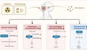 Genome Instability & Disease Volume 4. Issue 5 简介