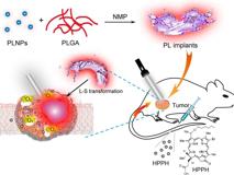 澳门博彩在线
生物医学工程学院黄鹏特聘教授团队在《ACS Nano》发表文章