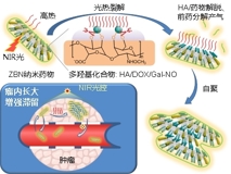 澳门博彩在线
何前军教授团队在国际顶级学术期刊《Advanced Materials》上发表文章