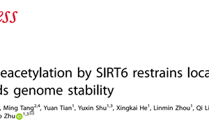 澳门博彩在线
朱卫国特聘教授团队在 Cell Death & Differentiation发文揭示RNA结合蛋白hnRNPA2B1通过转录调控维持基因组稳定性的新机制