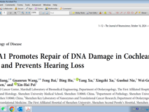 澳门博彩在线
裴新海教授团队在《Journal of Neuroscience》发表BRCA1修复毛细胞DNA损伤研究成果