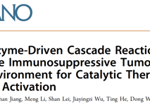 澳门博彩在线
黄鹏教授团队在ACS Nano发表双酶级联反应调控肿瘤免疫微环境研究成果