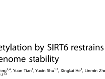 澳门博彩在线
朱卫国教授团队在 Cell Death & Differentiation发表RNA结合蛋白hnRNPA2B1维持基因组稳定性研究成果