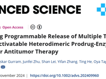 澳门博彩在线
林静教授团队在Advanced Science发表异二聚体前药酶组装体用于释放抗肿瘤制剂的研究成果