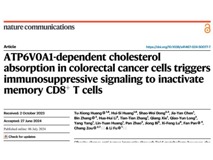 澳门博彩在线
付利教授团队在Nature Communications发表肥胖促进肿瘤免疫逃逸研究成果