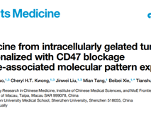 澳门博彩在线高成助理教授在Cell Reports Medicine发表胞内凝胶化全肿瘤细胞疫苗研究成果