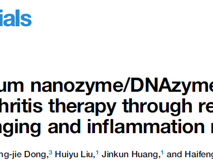 澳门博彩在线董海峰教授团队在Cell Biomaterials发表纳米酶治疗类风湿关节炎研究成果