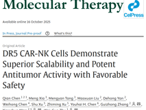澳门博彩在线朱卫国教授团队在Molecular Therapy发表关于DR5靶向抗肿瘤疗法新进展研究成果